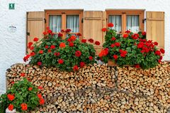 Holz vor der Hütt'n