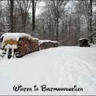 Holz vor der Hütt'n