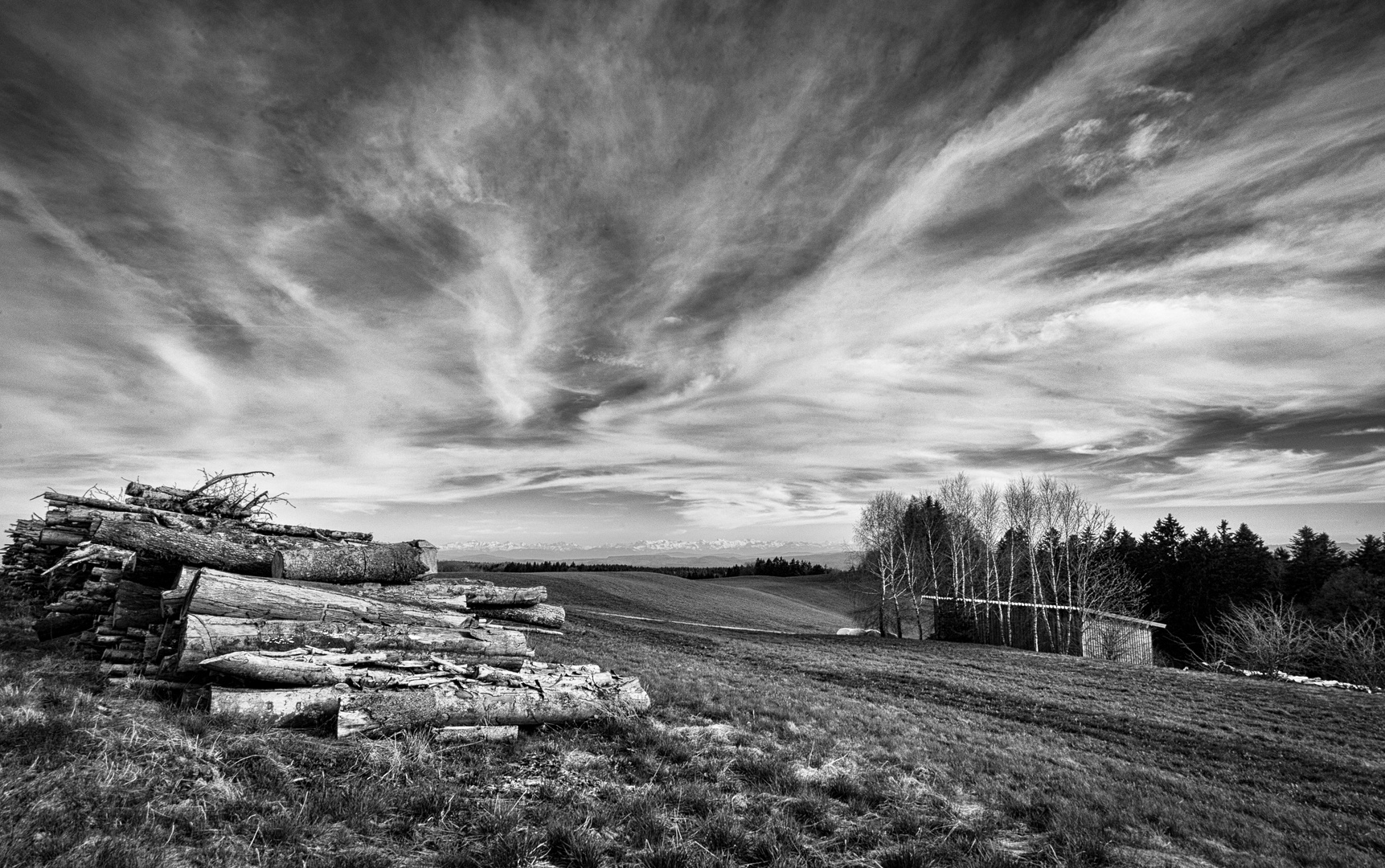 Holz vor der Hütt'n