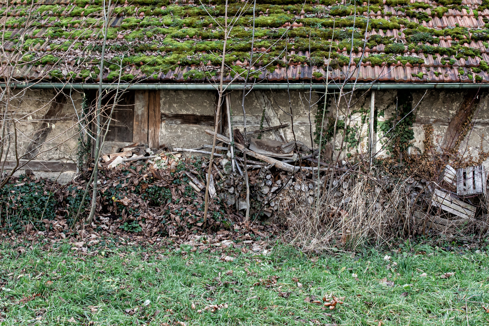 Holz vor der Hütt'n