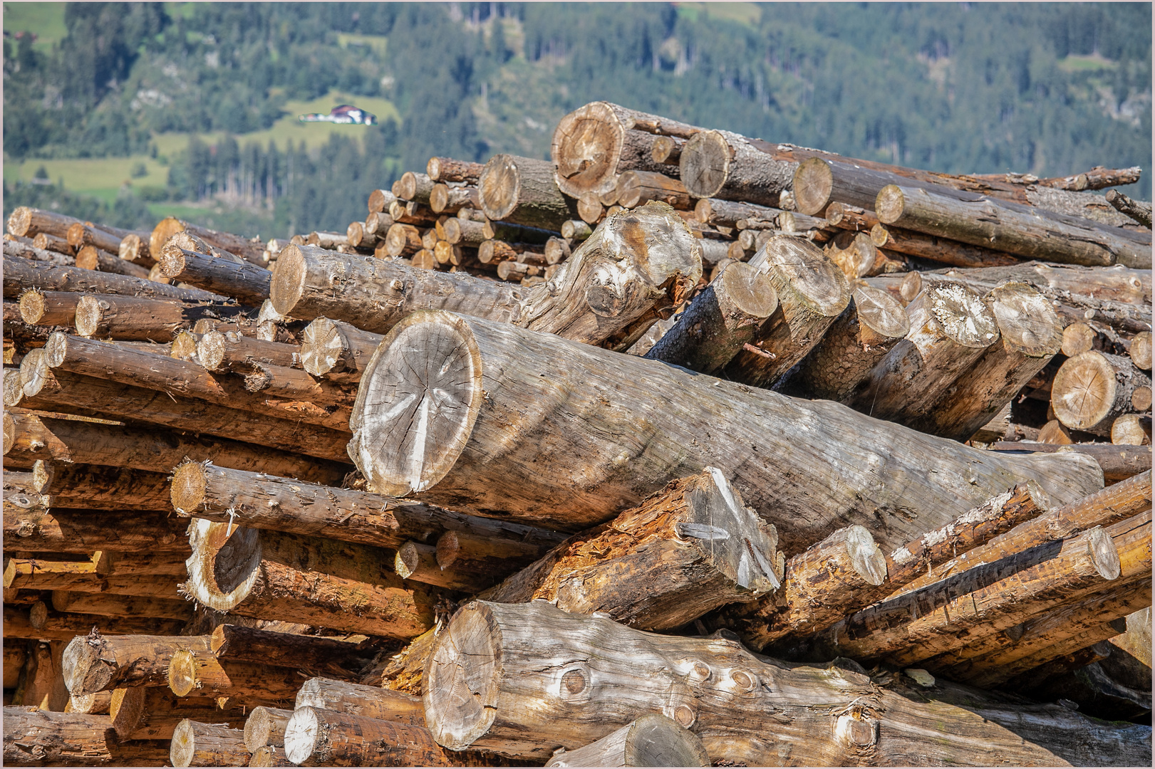 Holz vor der Hüttn