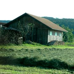 Holz vor der Hüttn