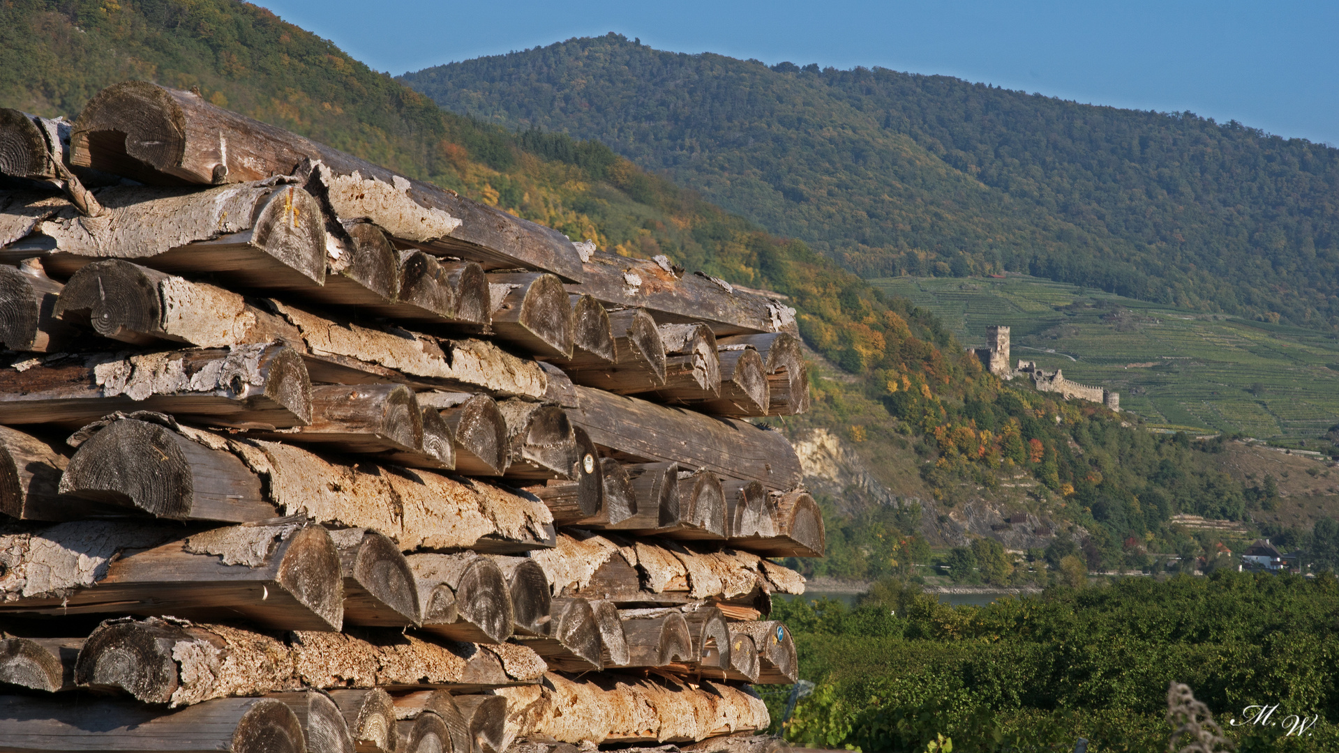 Holz vor Ruine Hinterhaus