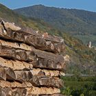 Holz vor Ruine Hinterhaus