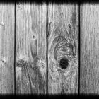 Holz / Wood