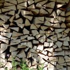 Holz_2