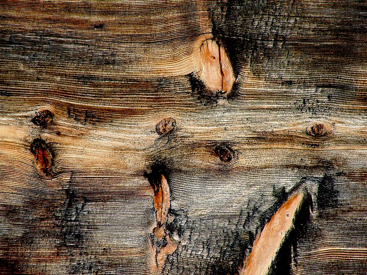 Holzarchitekturen