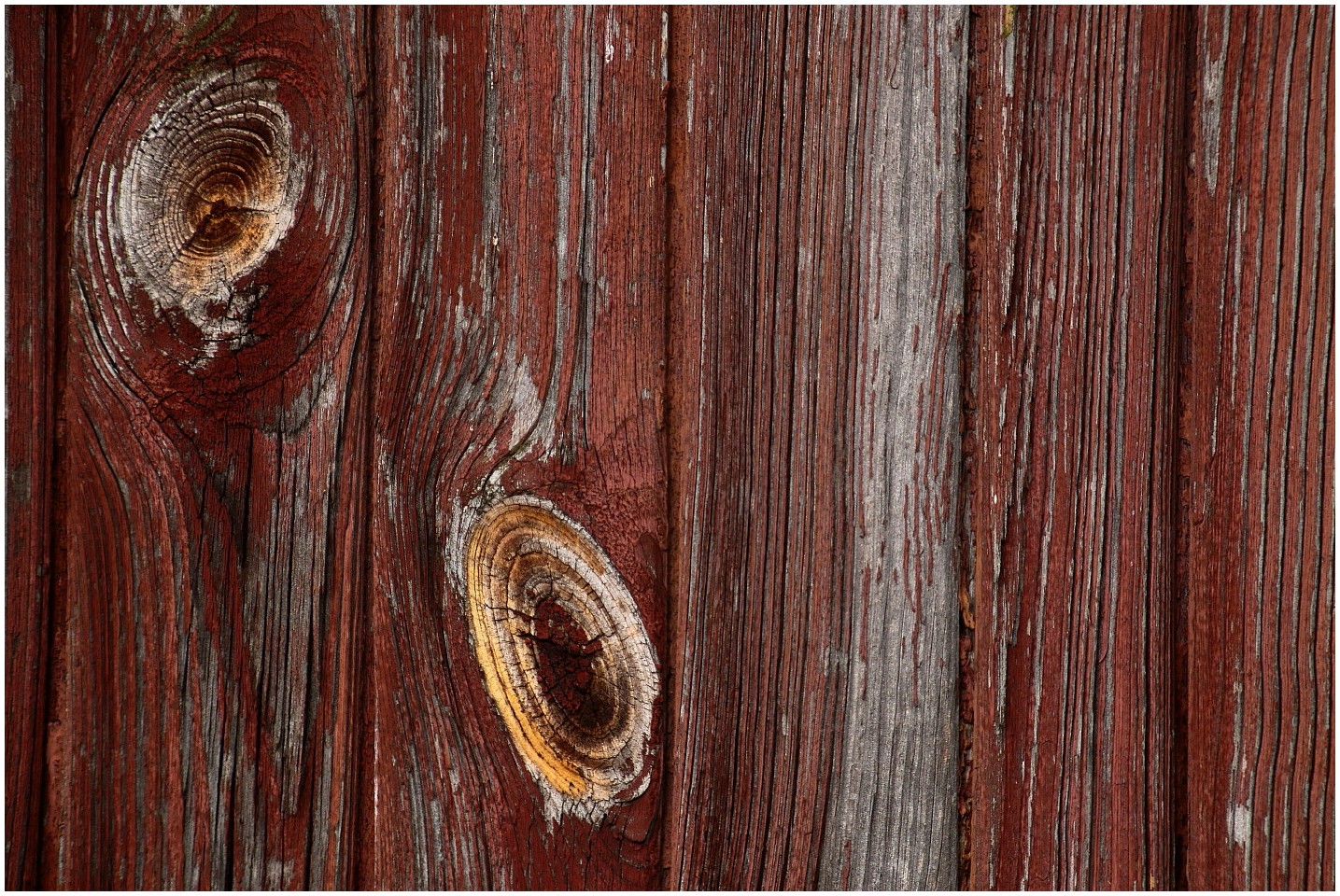 Holzaugen