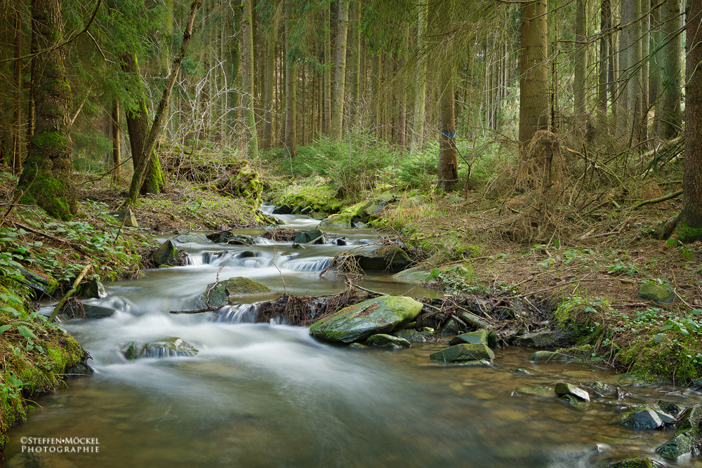 Holzbach