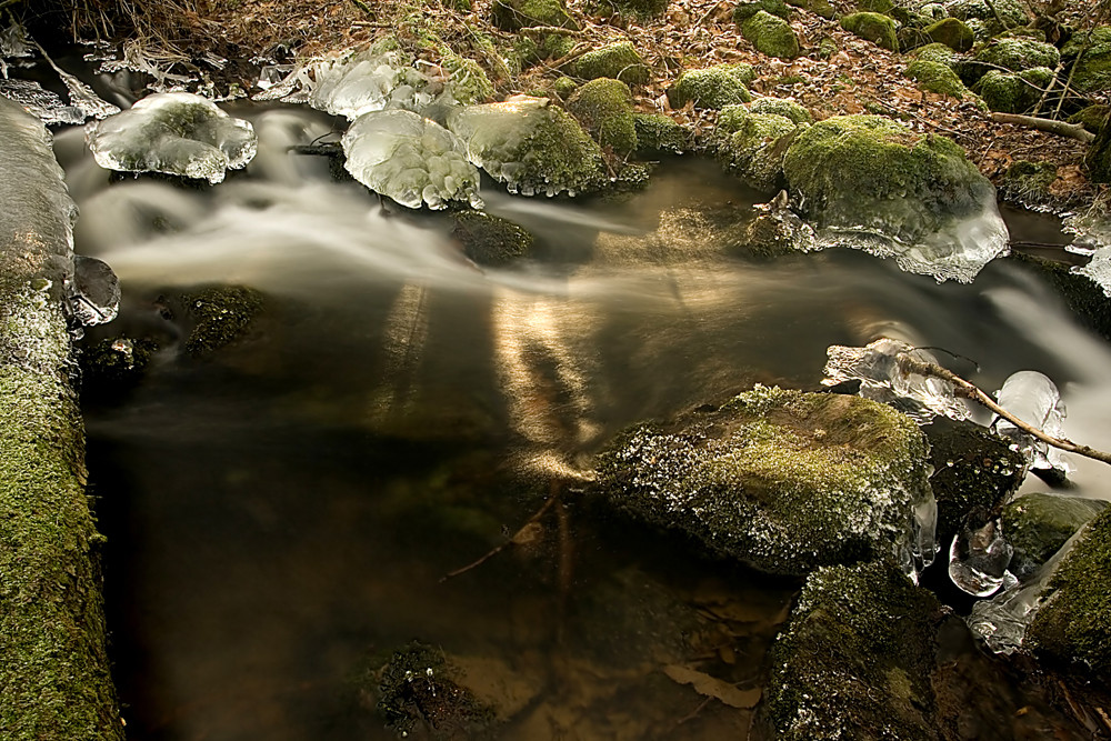 Holzbach( Westerwald) im Dezember