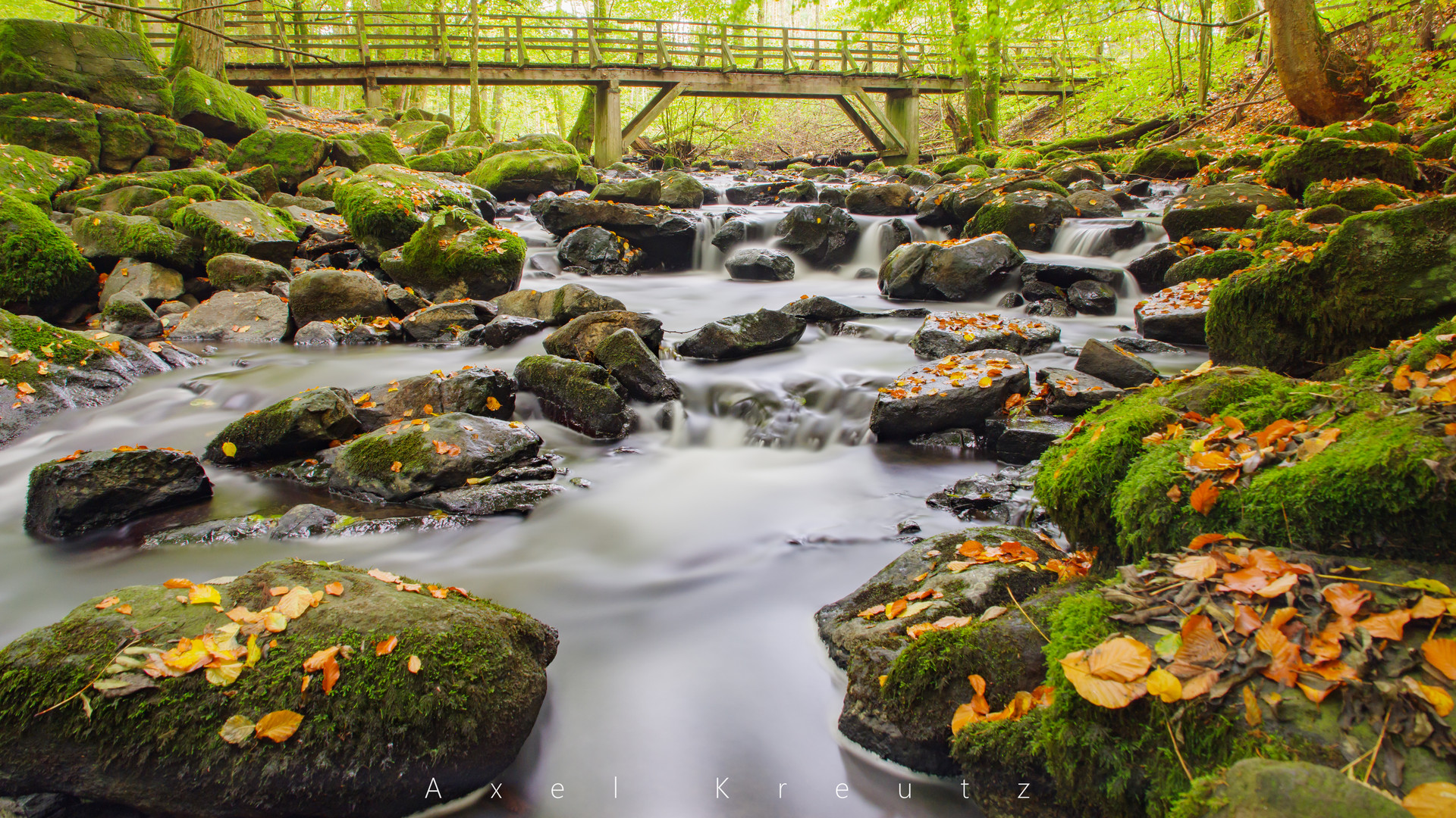 Holzbachschlucht