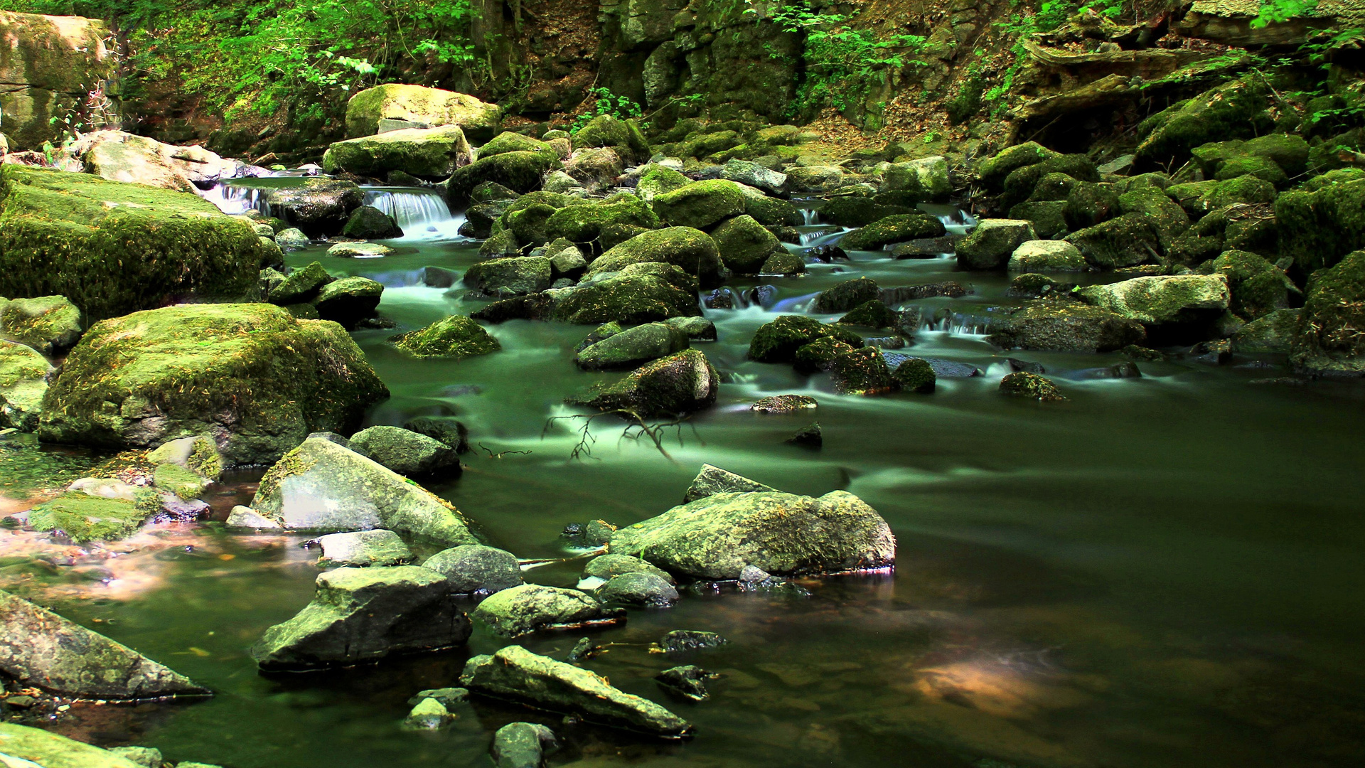 Holzbachschlucht :.