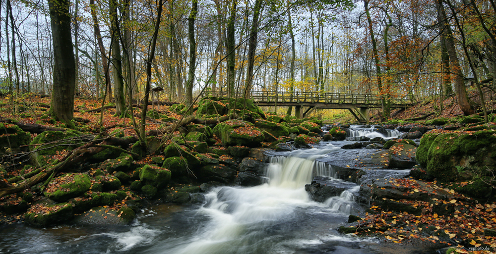 Holzbachschlucht