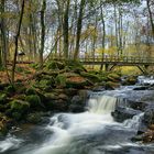 Holzbachschlucht