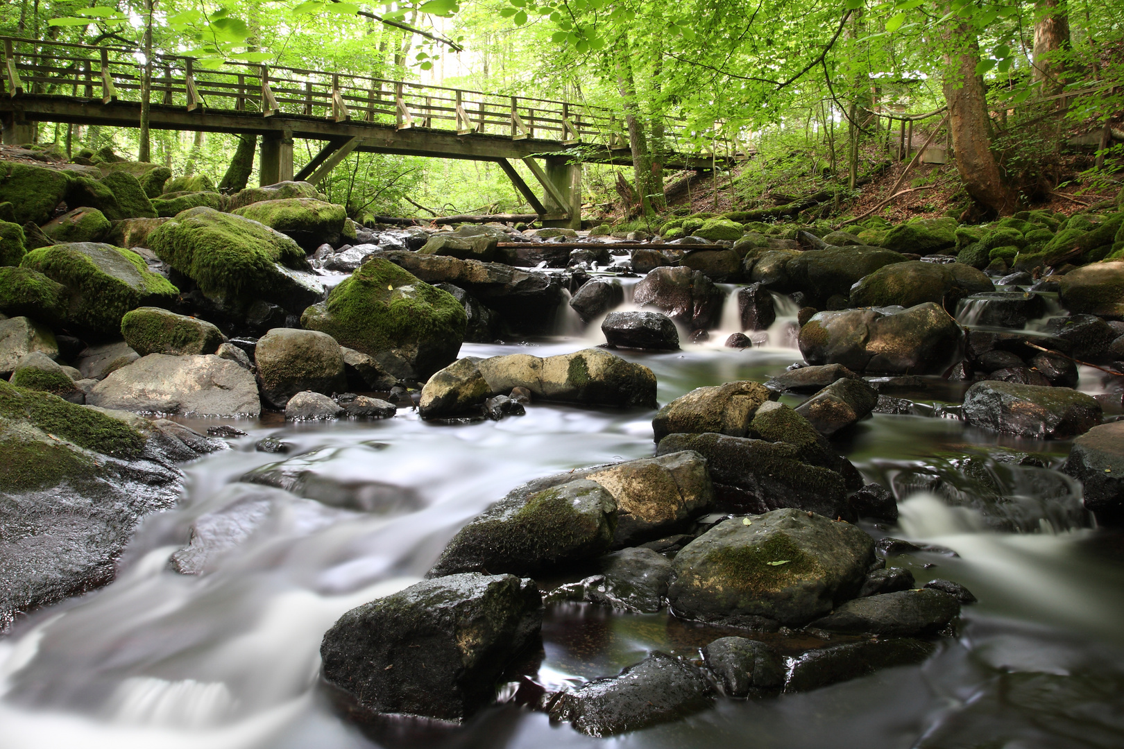 Holzbachschlucht