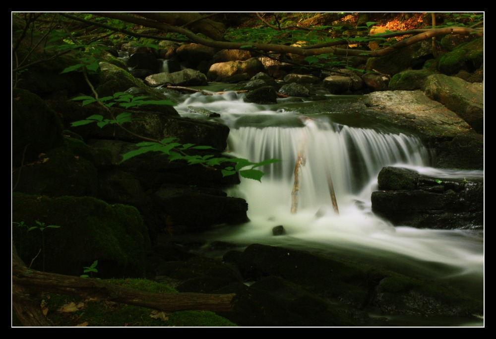 Holzbachschlucht