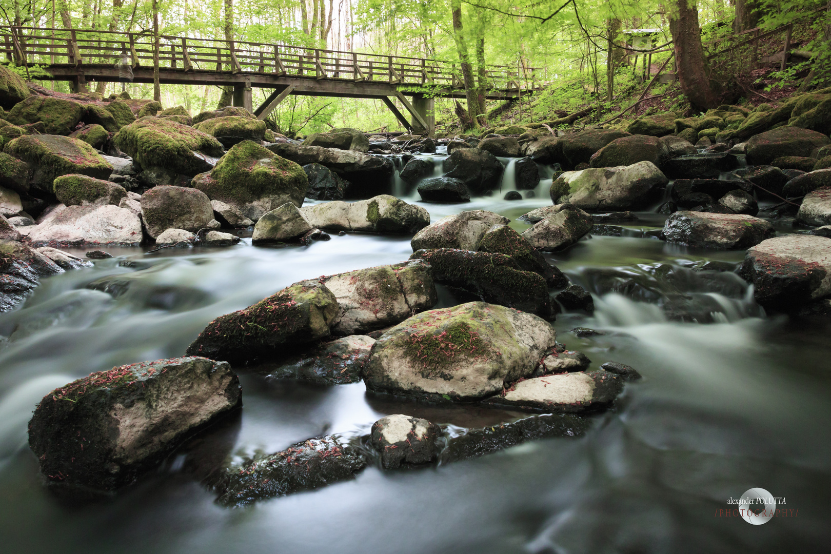 Holzbachschlucht