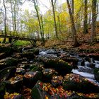 Holzbachschlucht