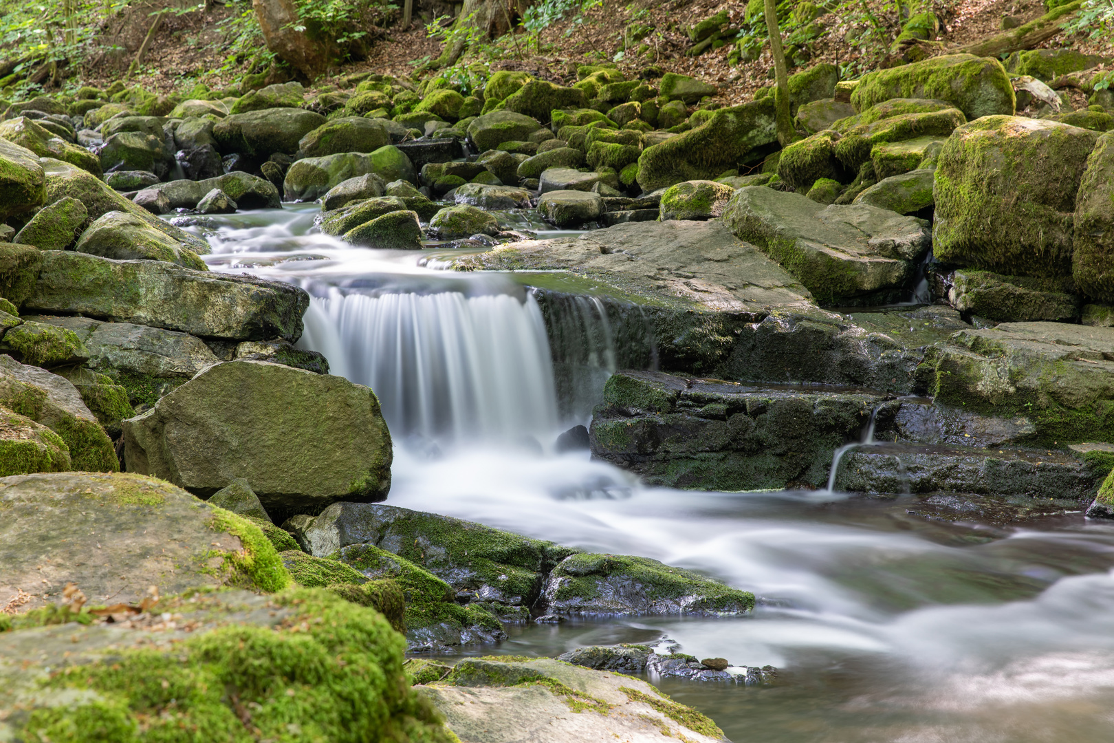 Holzbachschlucht