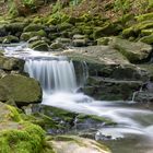 Holzbachschlucht