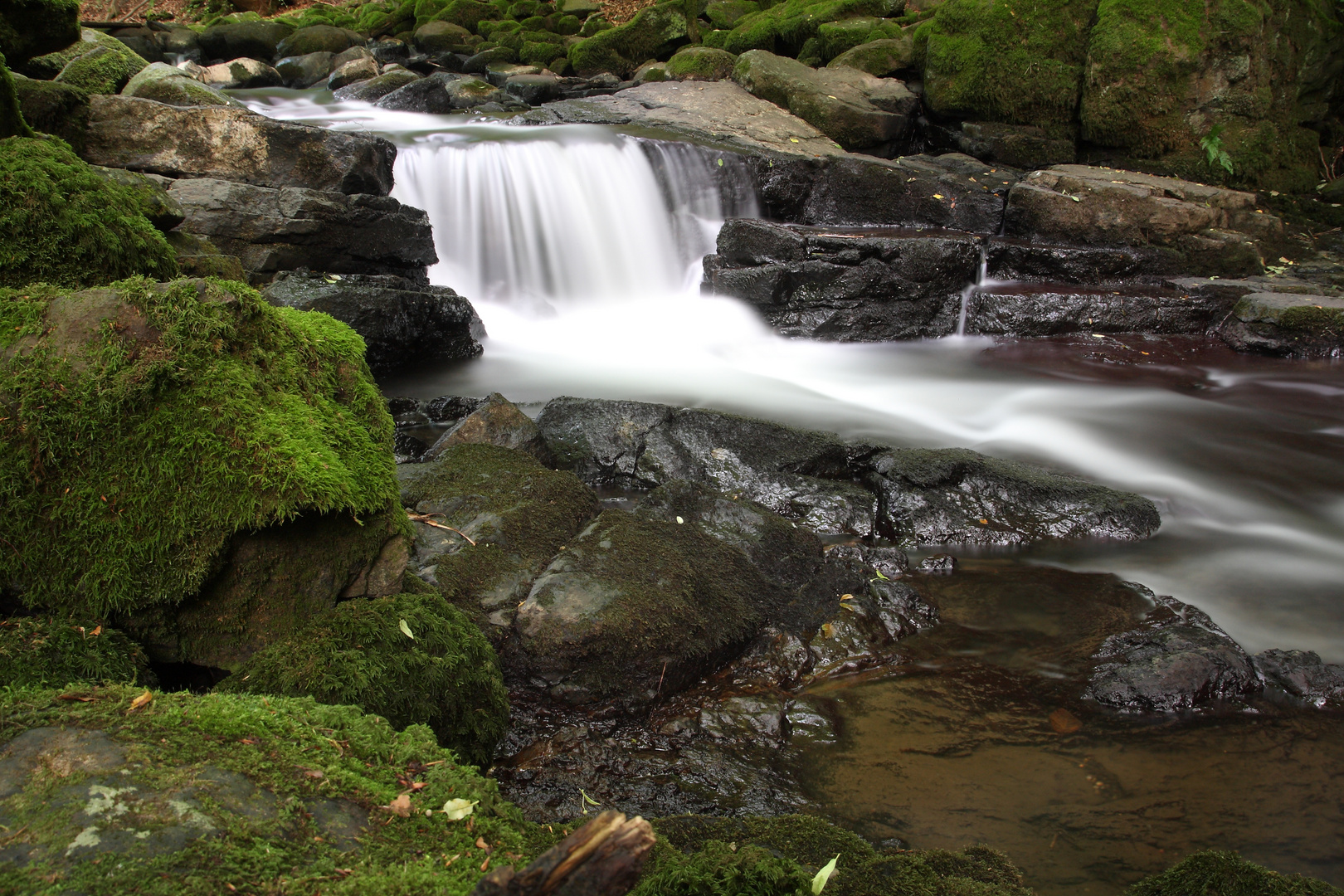 Holzbachschlucht bei Gmünden