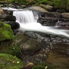 Holzbachschlucht bei Gmünden