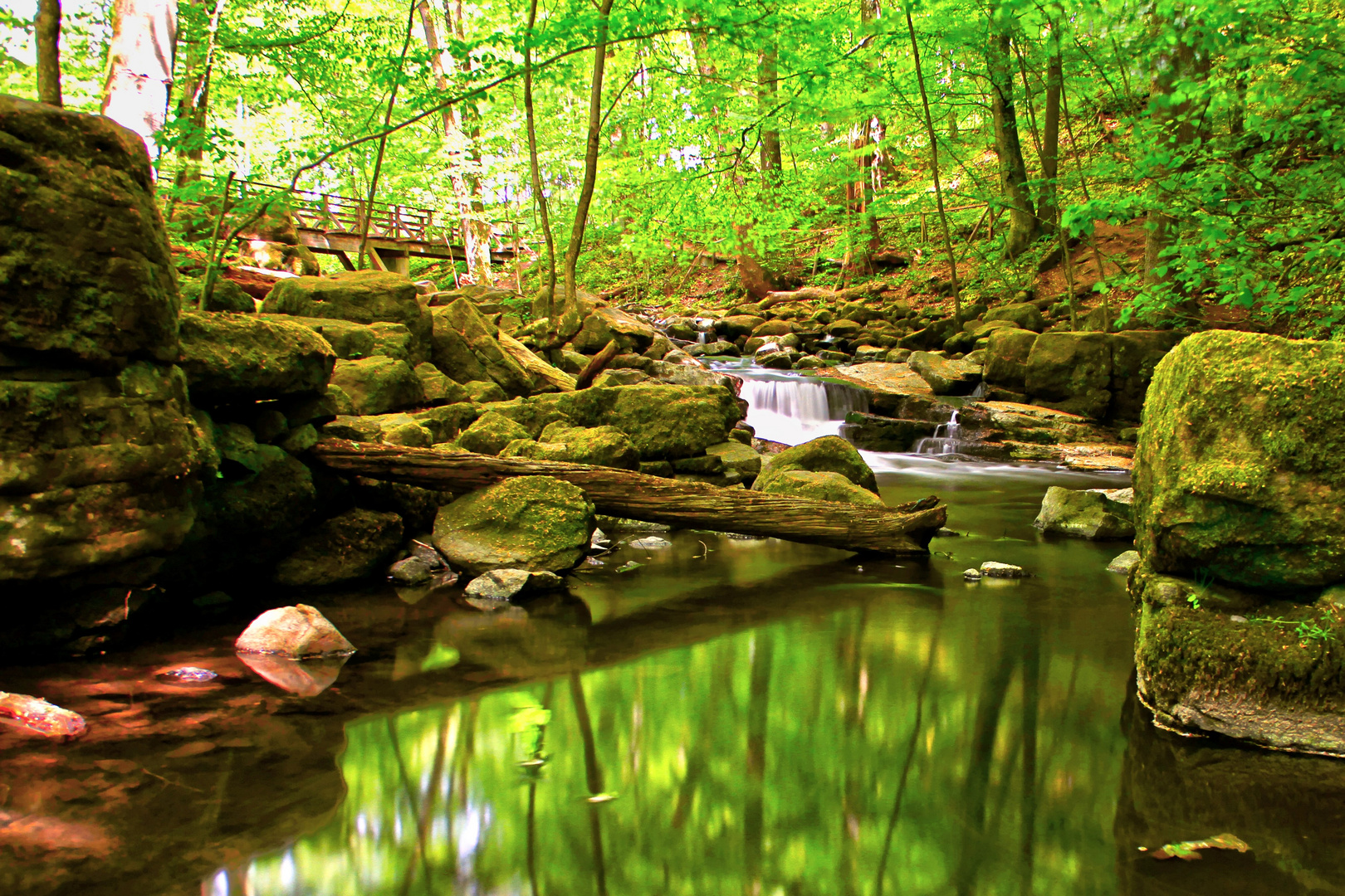 Holzbachschlucht :