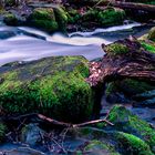 Holzbachschlucht im Westerwald 