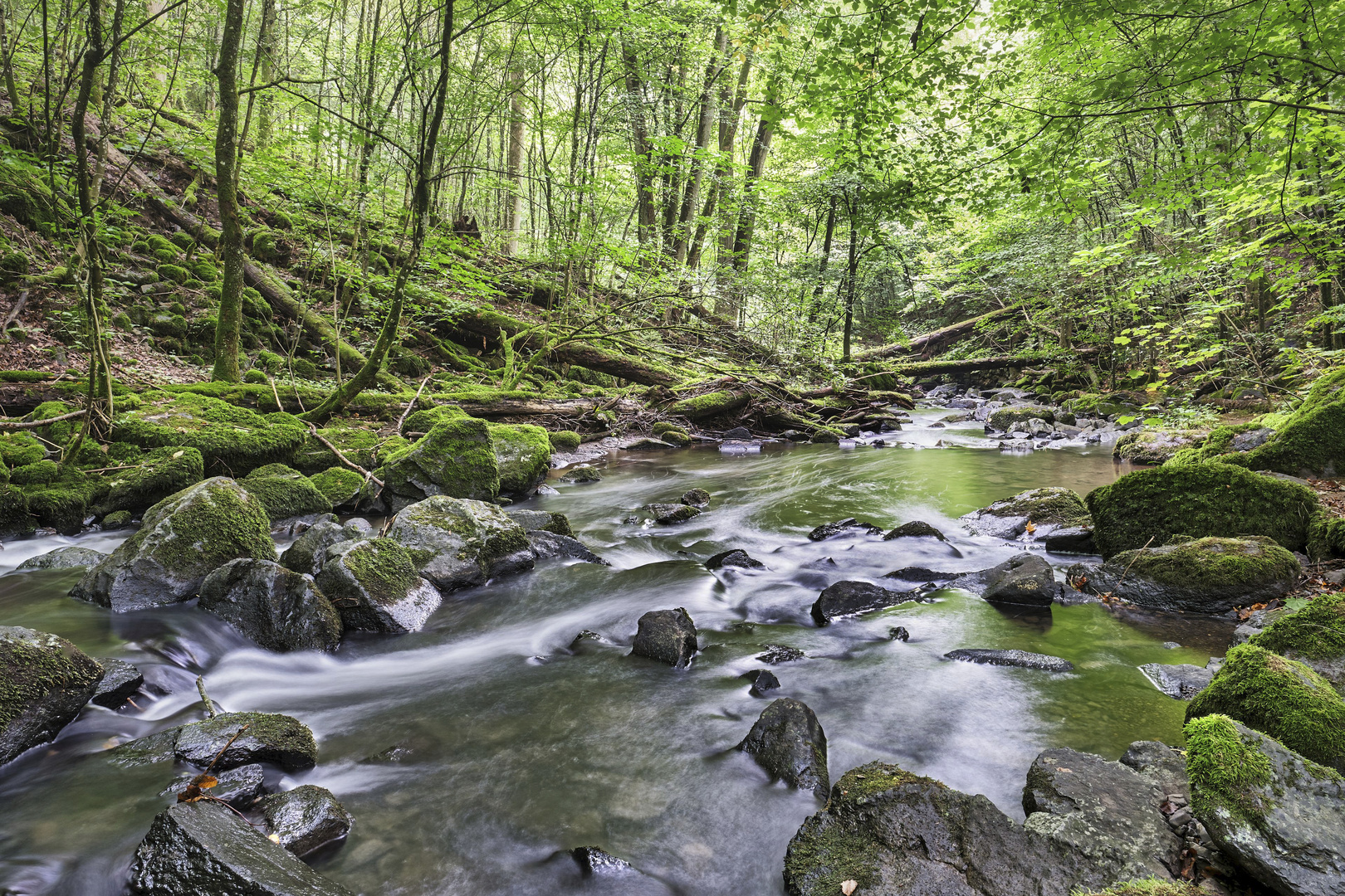 Holzbachschlucht | Westerwald