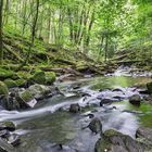 Holzbachschlucht | Westerwald