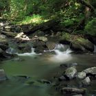 Holzbachschlucht Westerwald