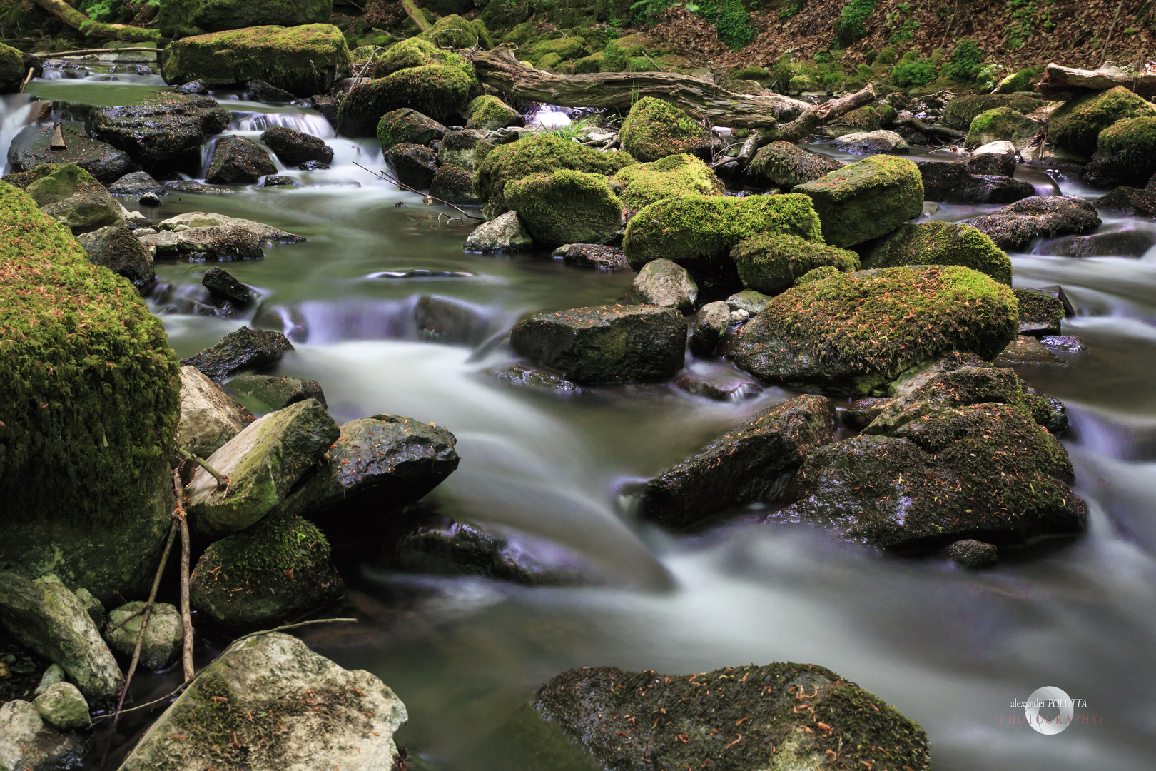 Holzbachschlucht1