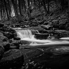 Holzbachtal im Westerwald