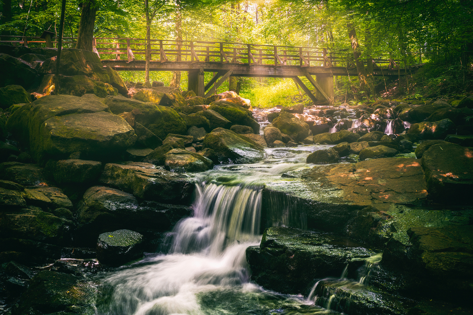 Holzbachtalschlucht 2