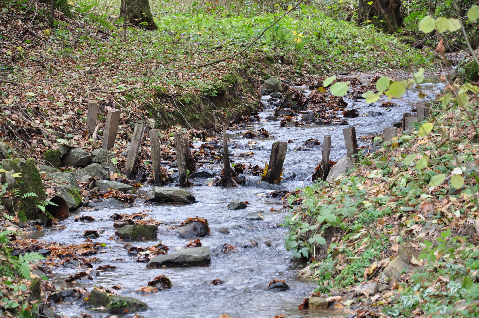 Holzbalken im Fluss