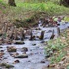 Holzbalken im Fluss