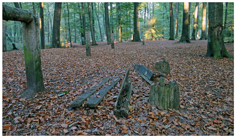 Holzbank von R. Hardwiger 