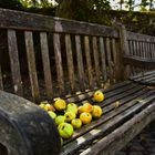 Holzbank im Herbst