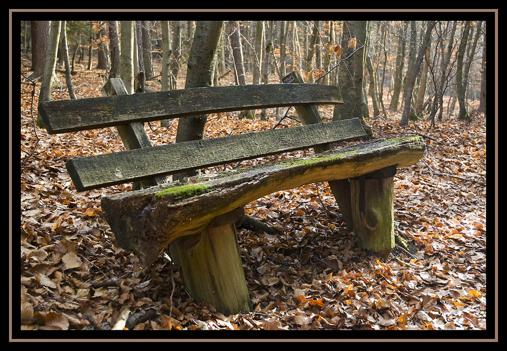 Holzbank in der Pfalz von Michael Weiring