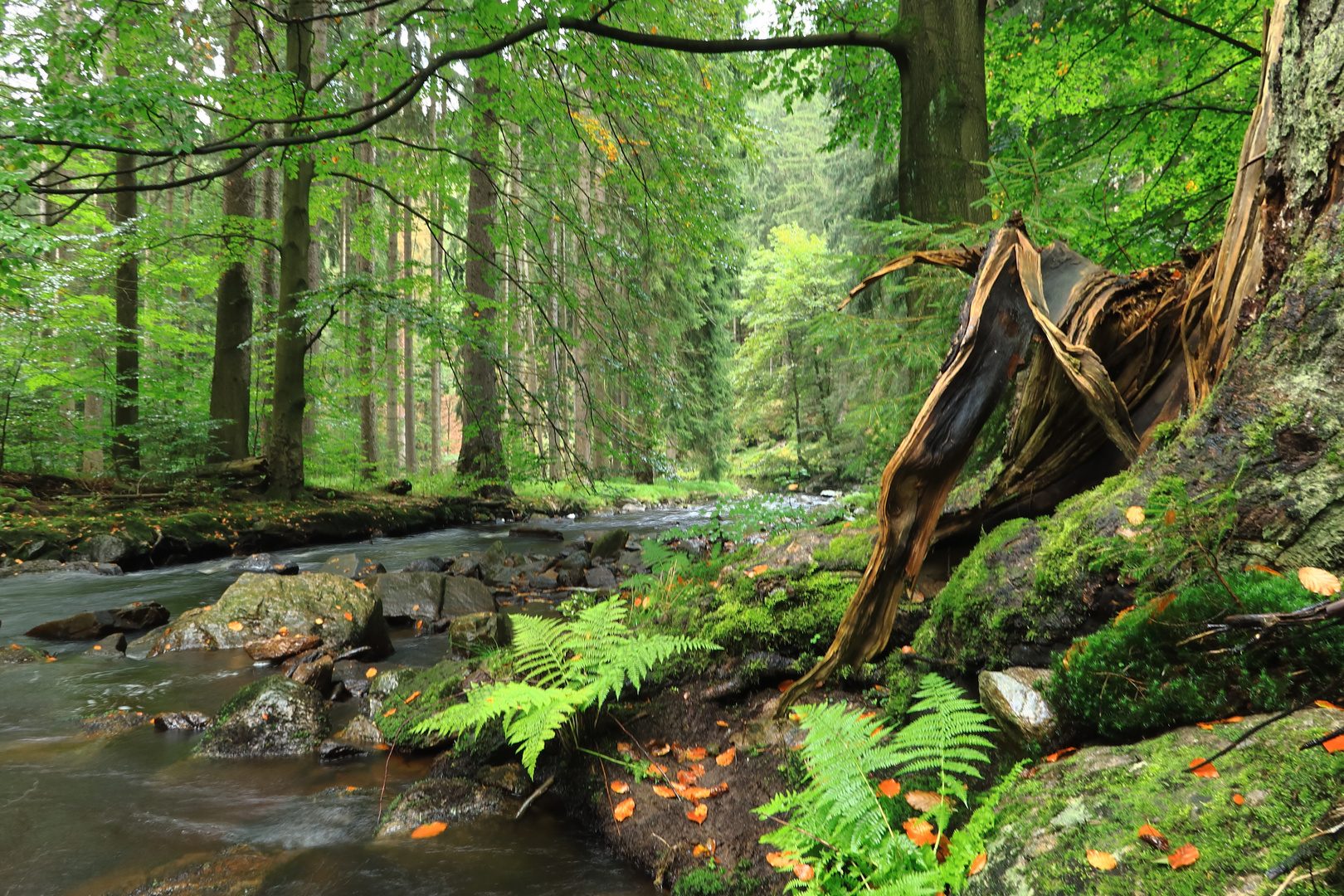 Holzbearbeitung a la Natur...