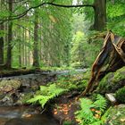 Holzbearbeitung a la Natur...