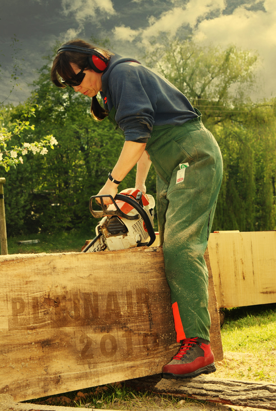 Holzbildauerpleinair 2010