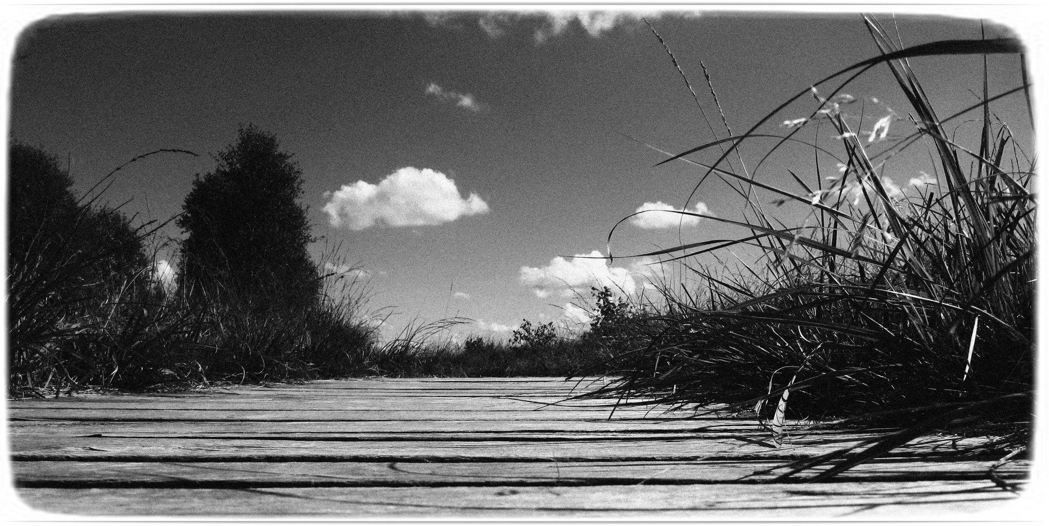 Holzbohlen-Weg zum Ewigen Meer