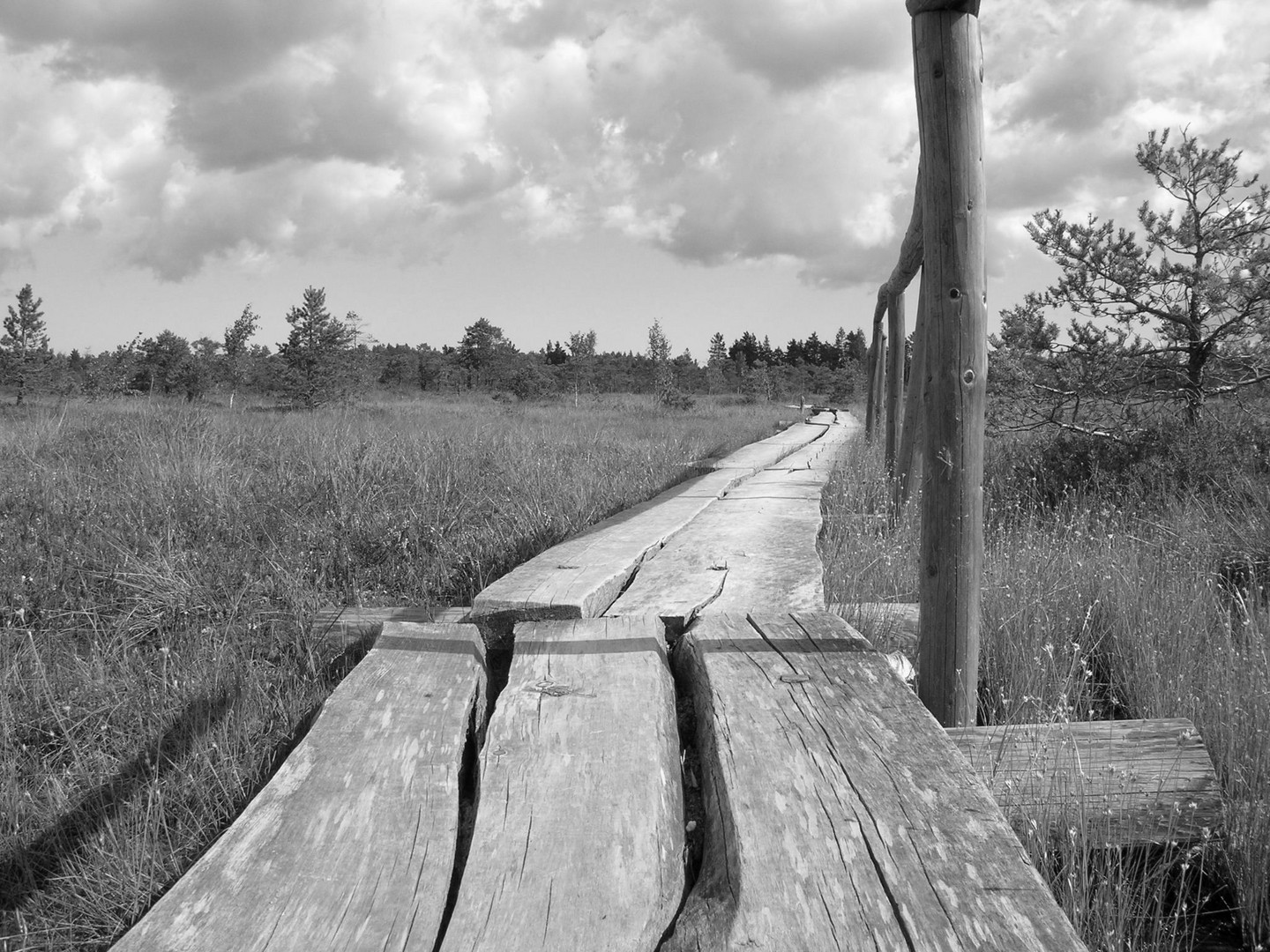 Holzbohlenstieg durchs Moor - Lettland