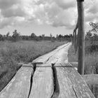 Holzbohlenstieg durchs Moor - Lettland