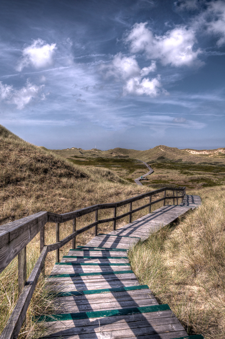 Holzbolenweg durch die Amrumer Dünenlandschaft