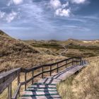 Holzbolenweg durch die Amrumer Dünenlandschaft