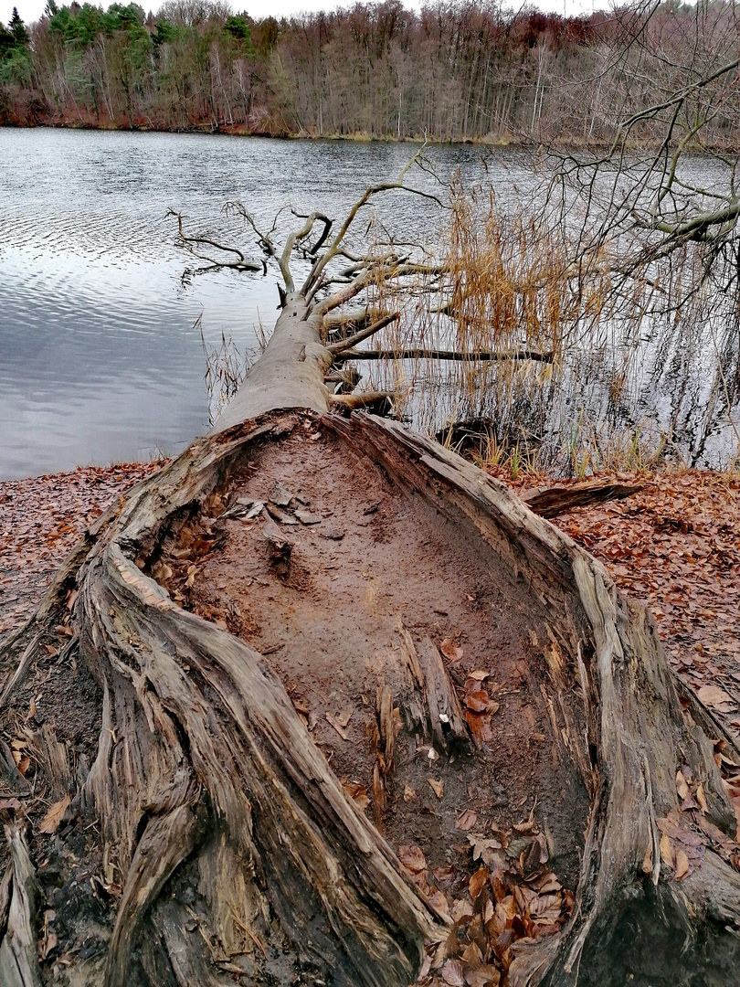 Holzboot trocken gelaufen 