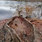 Holzboot trocken gelaufen 