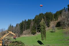 Holzbringung